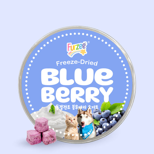 Freeze-Dried Blueberry