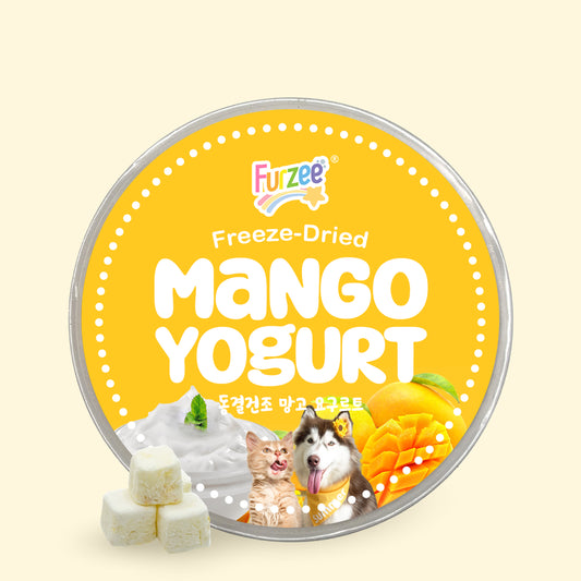 Freeze-Dried Mango Yogurt
