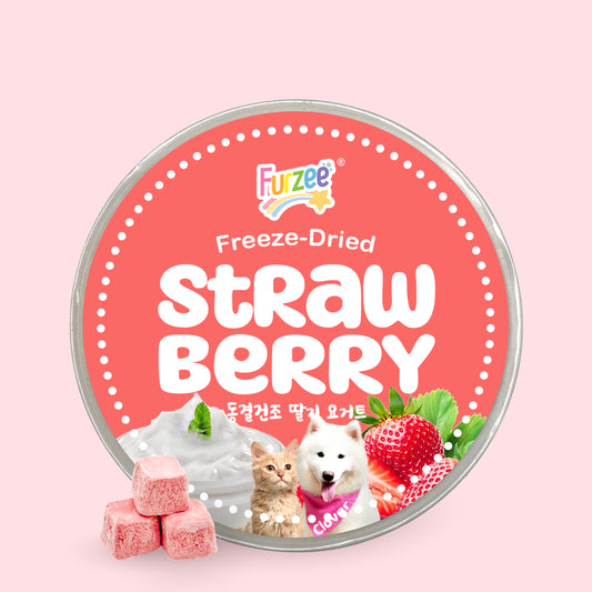 Freeze-Dried Strawberry