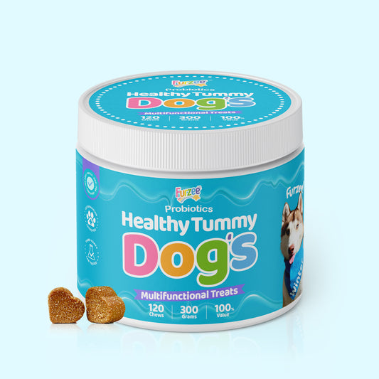 Healthy Tummy Chews for Dogs