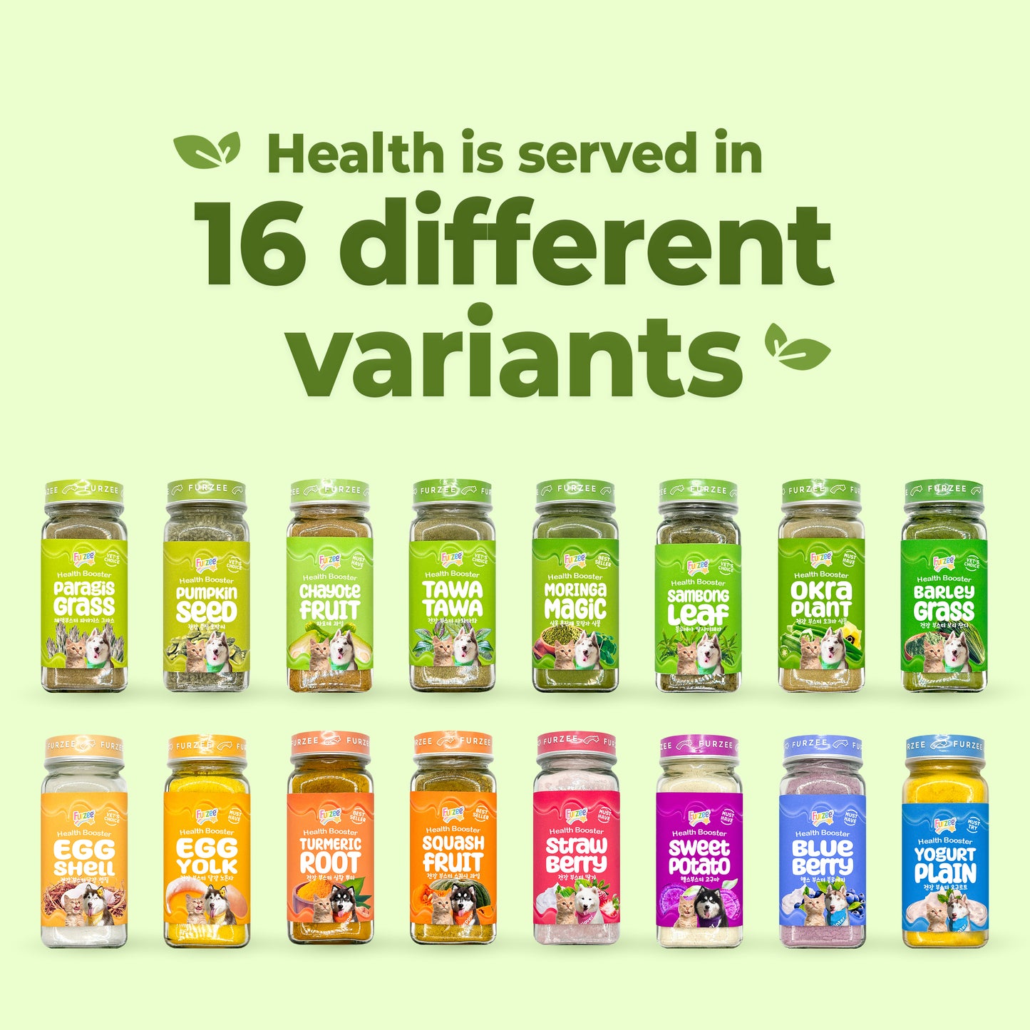 Health Booster Moringa Magic