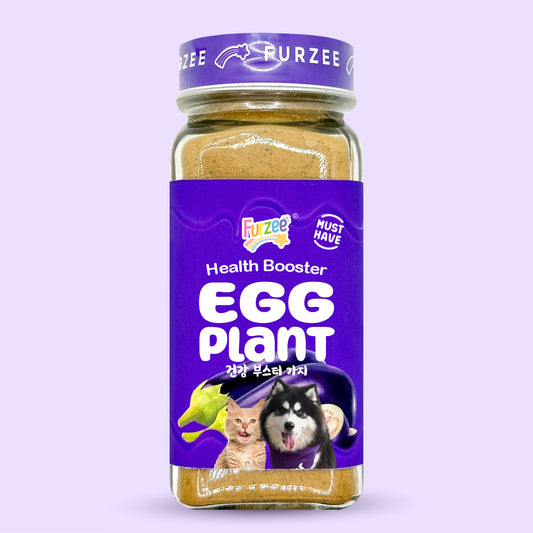 Health Booster Eggplant