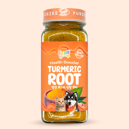 Health Booster Turmeric Root
